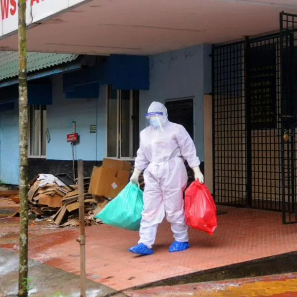 Virus Nipah crearía próxima pandemia: qué es, sus síntomas y cómo se transmite