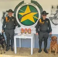 Policía de Dosquebradas incauto una encomienda de bebidas achocolatadas que contenían cocaína. Dos caninos hicieron el hallazgo en un empresa de envíos.