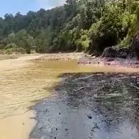 Población de Nariño pidió ayuda al Gobierno Nacional por el derrame de crudo en tres de sus ríos más importantes. Hay 4.000 familias afectadas por el hecho.