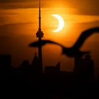 Eclipse solar en Colombia: Chocó, Valle del Cauca y Huila son los departamentos donde se verá de mejor forma el fenómeno astronómico de octubre de 2023.