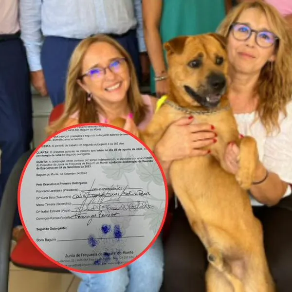 Perro fue contratado para dar cariño a empleados de empresa