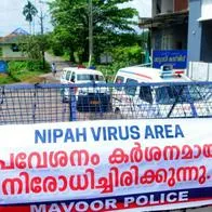 Virus Nipah en Colombia a qué poblaciones podría contagiar más y cómo prevenirlo 