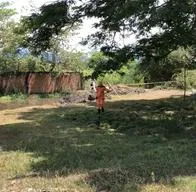 Cartago: confirman que los cadáveres pertenecen a los adolescentes desaparecidos