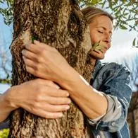 Por qué abrazar un árbol es beneficioso para la salud; ayuda al estrés
