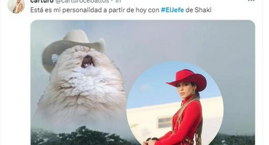 Los memes se hacen presentes por la colaboración de Shakira y Fuerza Regida.