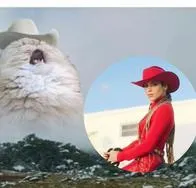 Los memes se hacen presentes por la colaboración de Shakira y Fuerza Regida.