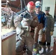 Rescatan de explosión en Rionegro a perra que quedó atrapada entre escombros