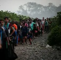 Panamá: la crisis migratoria en el Darién no se evita con un muro.
