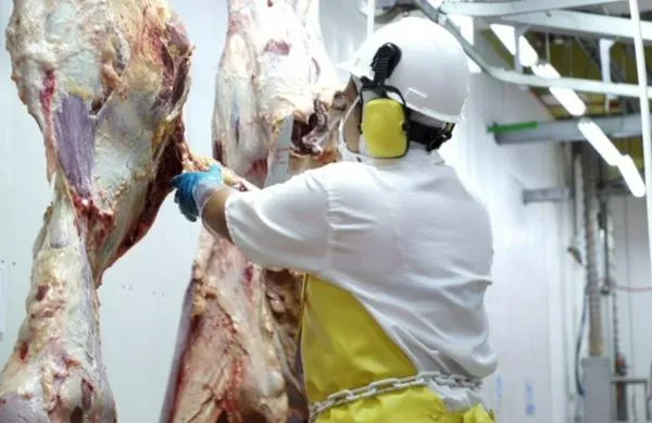 Colombia logra histórica aprobación para exportar carne bovina a China