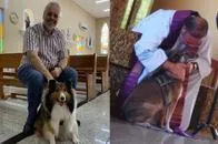 Sacerdote recoge perros callejeros, los da en adopción en las misas en Brasil