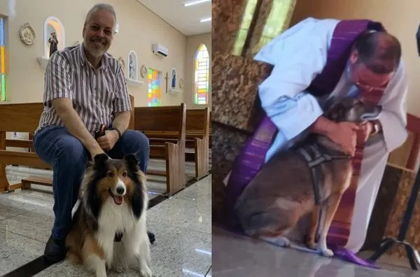 Sacerdote recoge perros callejeros, los da en adopción en las misas en Brasil