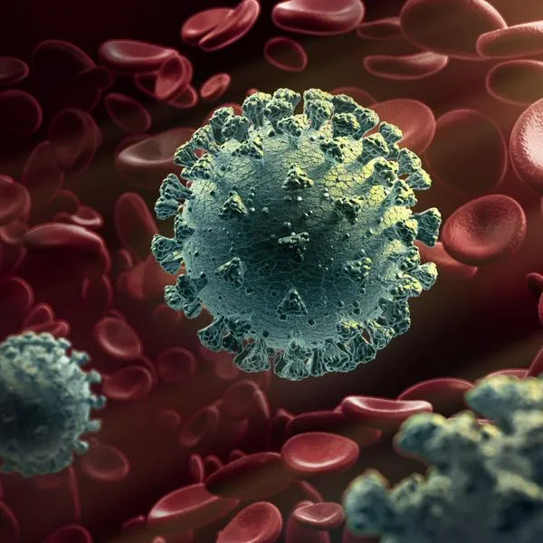 Daños en órganos como en los pulmones, riñones o cerebro por los efectos del Covid-19 a largo plazo