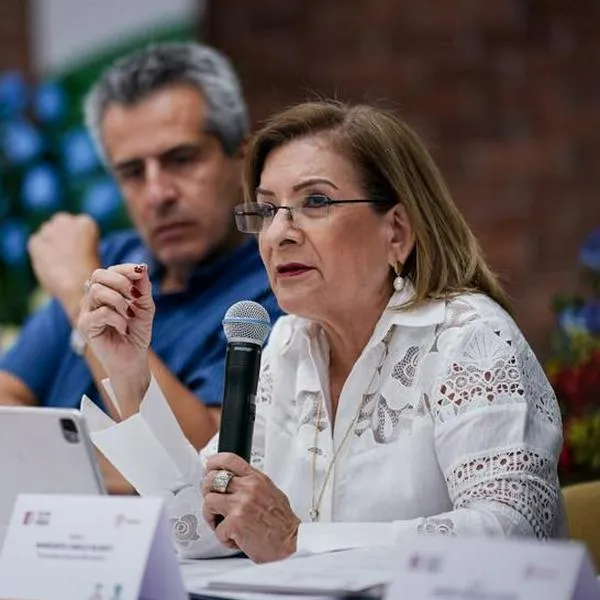 Procuradora Margarita Cabello hizo advertencia sobre marchas de 27 de septiembre