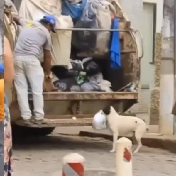 Perro se volvió viral por ayudar a recolectar la basura