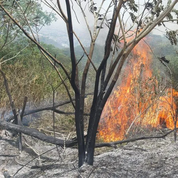 Cali participará el próximo 4 de octubre habrá simulacro de incendios en Cali.