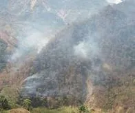 Varias hectáreas fueron consumidas por un incendio de capa vegetal en Aranzazu, Caldas