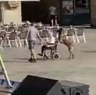 Momento en el que un perro lleva a su dueña en silla de ruedas durante un concierto de Arde Bogotá en España