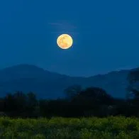 A qué hora saldrá la última SuperLuna de Cosecha del año en Colombia