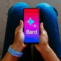 Bard tiene inesperado problema que exhibiría a muchas personas y sus conversaciones.