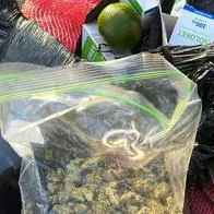 Policía capturó a un hombre que llevaba una carga de marihuana escondida en naranjas por carreteras de Bolívar. Tenía en su poder 325 gramos de cannabis.