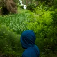 Investigan muerte de niño de 9 años en Bogotá. Su padrastro lo habría cogido a golpes y su madre dijo que se había caído de árbol 
