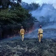 Incendios forestales en Caldas serían por culpa de la personas: por qué