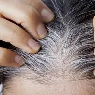 Con este tinte es posible ocultar las canas de manera rápida y sencilla
