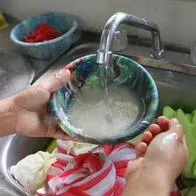 Aclaran si es necesario lavar el arroz antes de cocinarlo: estudió dio respuesta