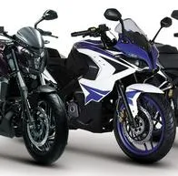 Estafas con motos Bajaj y Triumph, del Grupo UMA: alertan y dicen qué pasa actualmente.