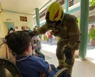 ¡Qué susto! Enjambre de abejas se metió a un colegio de Medellín y picó a 13 estudiantes