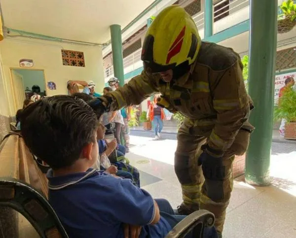 ¡Qué susto! Enjambre de abejas se metió a un colegio de Medellín y picó a 13 estudiantes