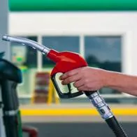 Precio de la gasolina en octubre de 2023: conductores recibieron buenas noticias