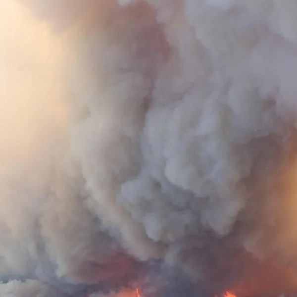 ¡Atención! Reportan incendio forestal en el oeste de Cali que amenaza al Jardín Botánico