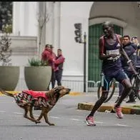 Atleta en Argentina perdió maratón en Buenos Aires porque lo mordió un perro
