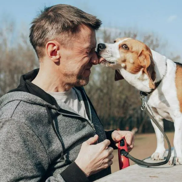 Estas son las 5 razas de perros más fieles; ¿por qué se comportan así?