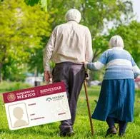 La tarjeta INAPAM ofrece servicios exclusivos para los adultos mayores