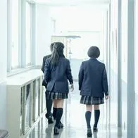 Cuál es el máximo que pueden subir las matrículas en colegios privados en 2024