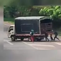 Polizones en Valle del Cauca paran camiones en carretera para que los lleven