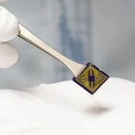 Crean una “lengua electrónica” que sería capaz de saborear alimentos 