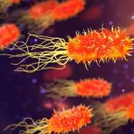 Brote de la bacteria Klebsiella en Colombia prende las alarmas