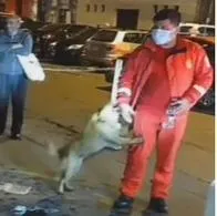 Bobby, el perro que esperó dos días a su amo a las afueras de un hospital