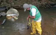 Río Meléndez en Cali, está en alerta por posible contaminación; hay peces y crustaceos muertos