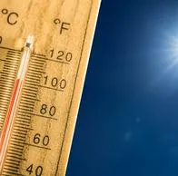 Medellín se convirtió en la primera ciudad del mundo en lograr bajar sus temperaturas gracias a los corredores verdes. La calidad del aire mejoró.