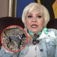 Se perdió perra y 'La Gorda' Fabiola la busca