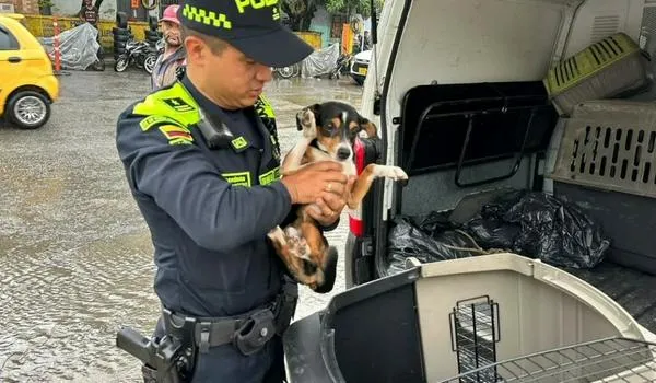 EN IMÁGENES: Perrito fue rescatado por presunto maltrato animal en El Popular