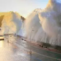 Activan alerta de tsunami de hasta un metro en costas del Pacífico de Japón por un sismo