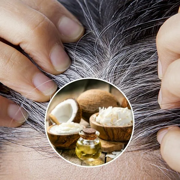 Eliminar las canas con aceite de coco