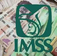 Pensión IMSS anticipada así es como puede ser solicitada