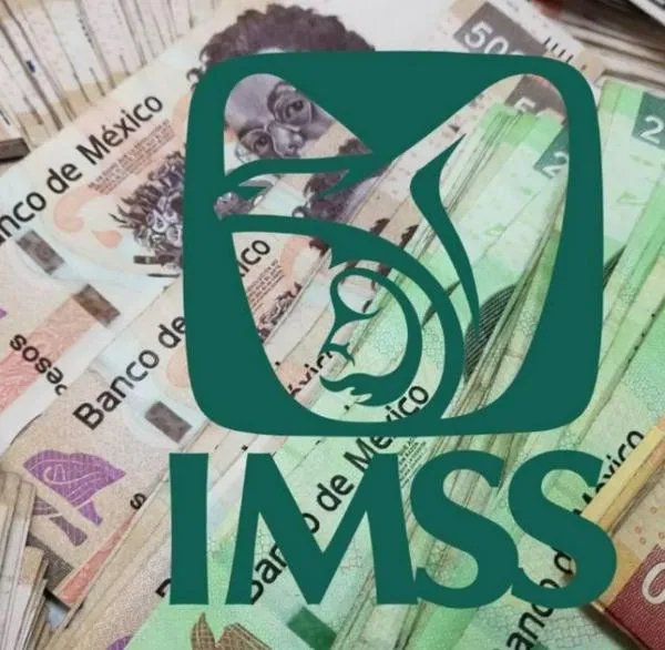 Pensión IMSS anticipada así es como puede ser solicitada