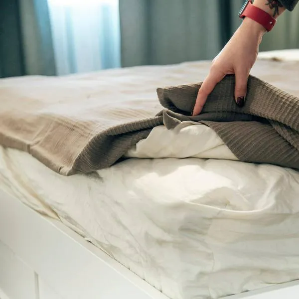 Limpieza ácaros cama 